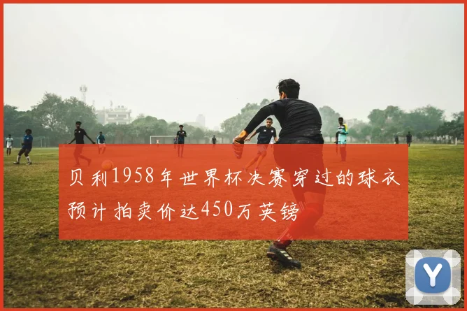 贝利1958年世界杯决赛穿过的球衣预计拍卖价达450万英镑